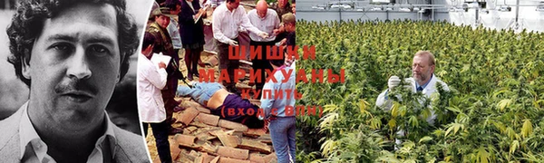 амф Михайловка