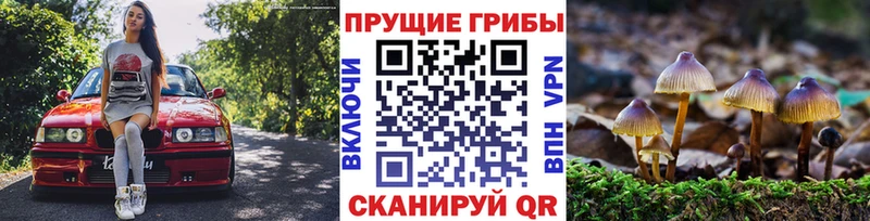 Псилоцибиновые грибы Psilocybe  цены   Нижневартовск 