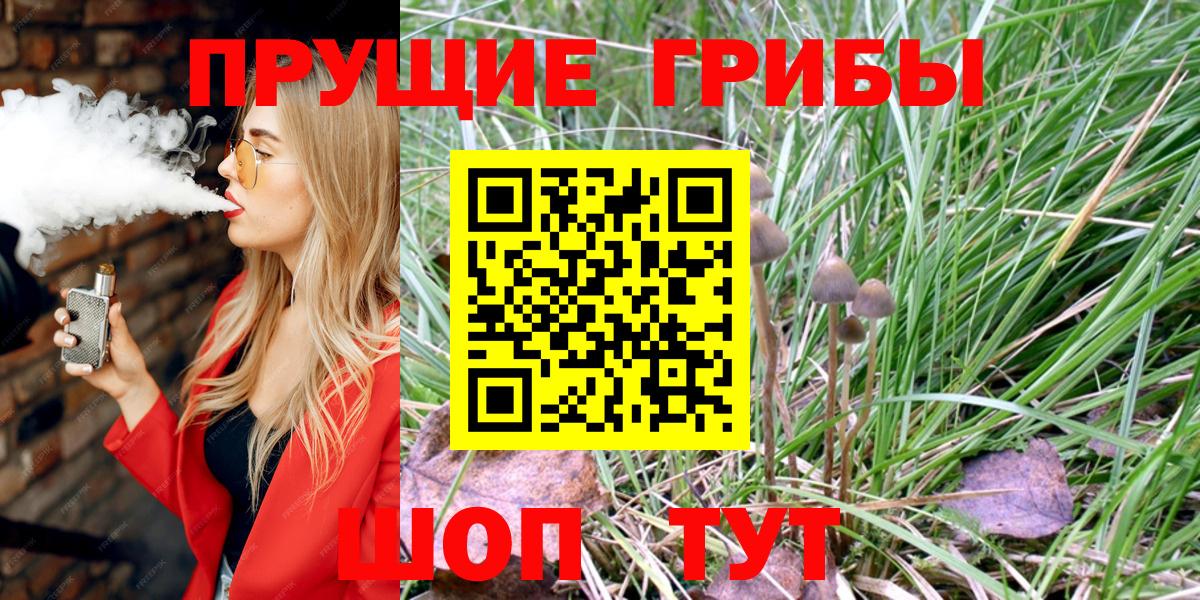 Псилоцибиновые грибы GOLDEN TEACHER Нижневартовск