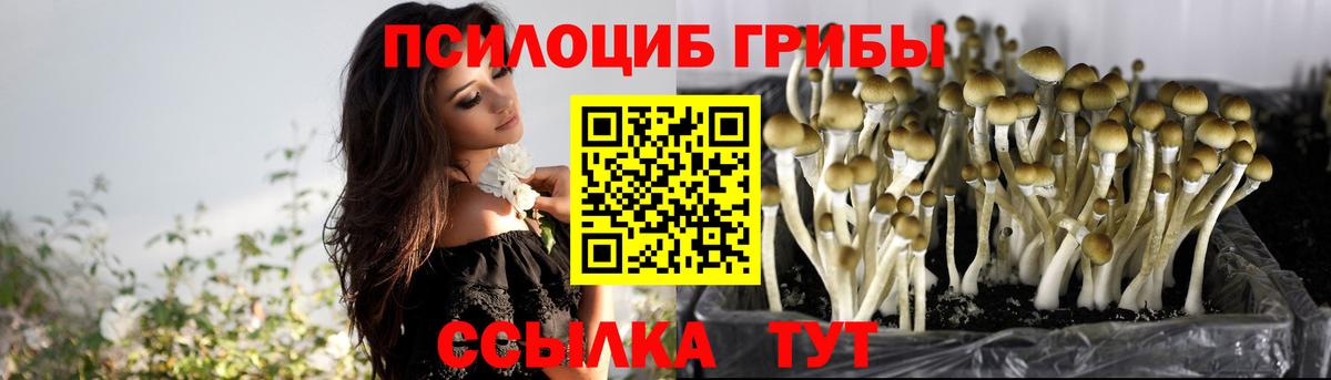 Галлюциногенные грибы Psilocybe  Вход с VPN  Нижневартовск 
